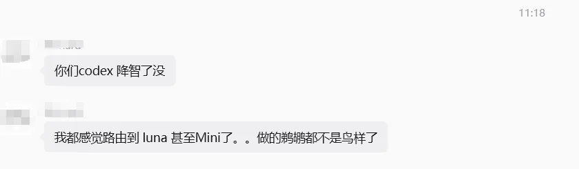 群聊：你们 codex 降智了没
