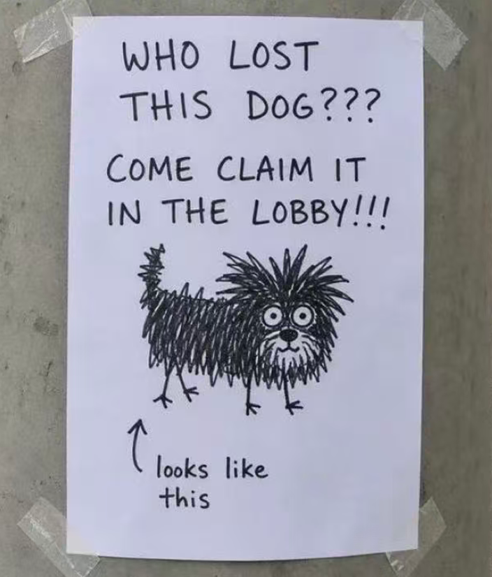 潦草寻狗启事草图